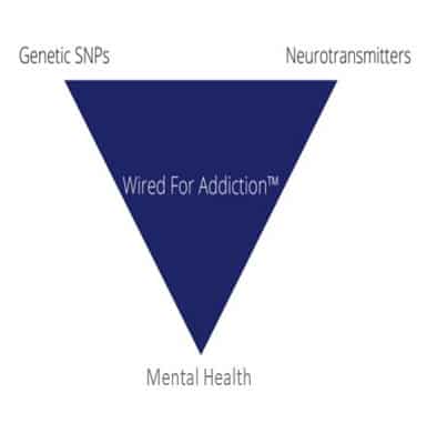 Wired for Addiction