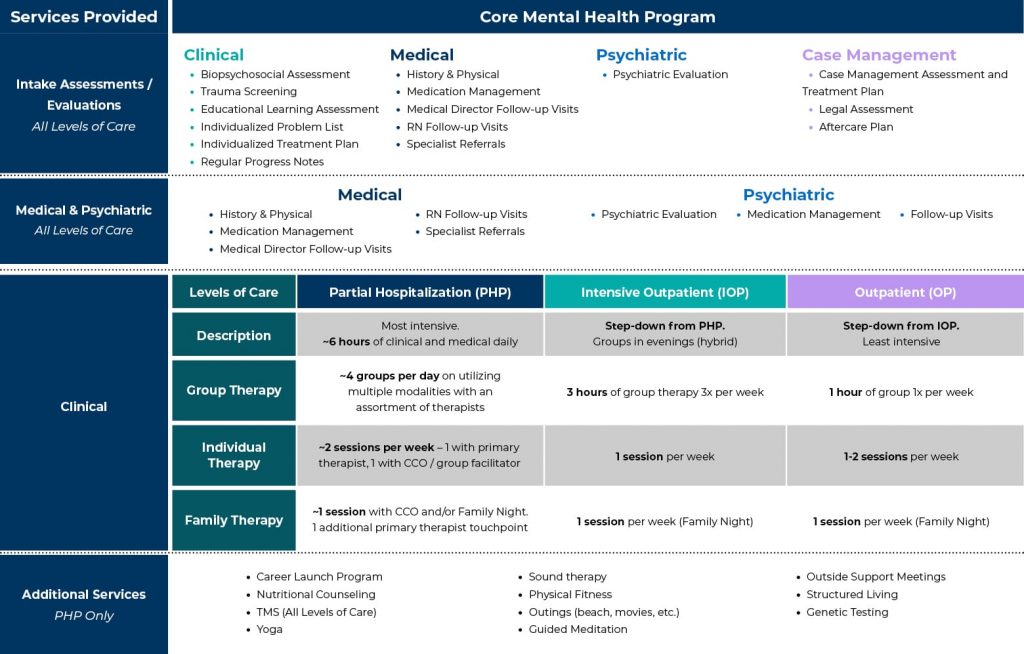 Our Mental Health & Substance Abuse Program Structure