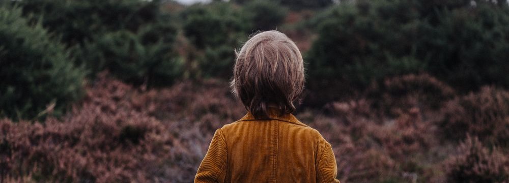 Young boy staring into the forest with back to camera