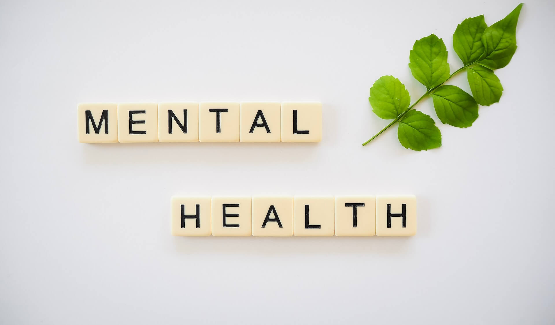 >What is Mental Health Disorder Rehab Treatment?